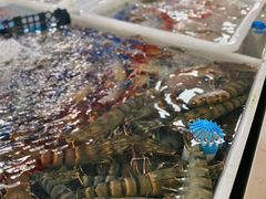 -南沙十九涌渔人码头-南门