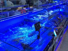 -渔民船说·北塘海鲜·天津菜·海肠捞饭(北塘古镇店)