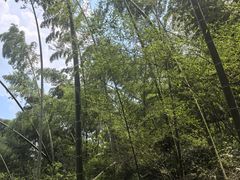 -会稽山峡洞漂流-上青古道