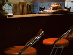 -BARBECUE烤肉屋