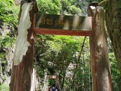 -牛背梁国家森林公园