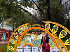 -云南民族村