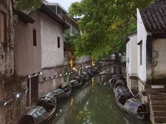 -绍兴鲁迅故里·沈园景区