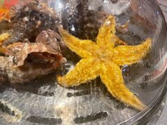 -一方渔歌蒸汽海鲜自助(文化路万达广场店)