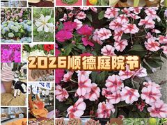 -顺峰山公园
