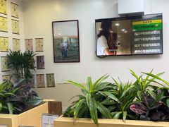 -美联众合动物医院·24h转诊中心