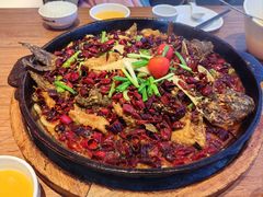 -老板恋上鱼(恒隆广场店)