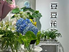 -豆豆花艺(新光天地店)