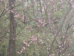 -瑶湖湿地自然保护区