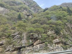 -王顺山国家森林公园