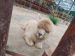 -呀路古热带植物园
