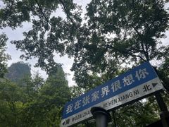 -张家界天门山国家森林公园