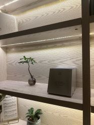 -东英经典SKIN&SPA