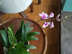 -南堂馆·新川菜(春熙路店)