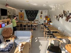 -平行世界·猫咖(首经贸店)