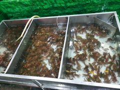 -拙味兄弟龙虾(新香洲店)