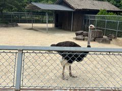 -苏州上方山国家森林公园
