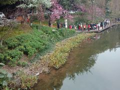 -重庆彩云湖湿地公园