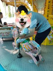 -大望京儿童游乐场