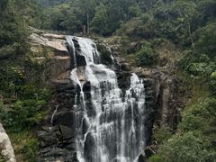 -海南热带雨林国家公园吊罗山景区