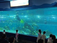 -苏州海洋馆