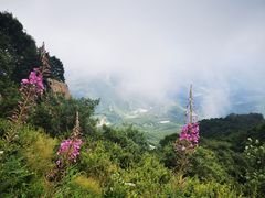 -白草畔自然风景区