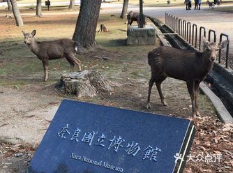乖乖的不动不动 只要有吃的