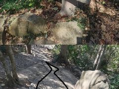 -上海佘山国家森林公园天马山园