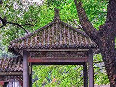 -荔湾湖公园