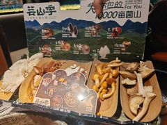 -芸山季·云南野生菌火锅(人民广场来福士店)