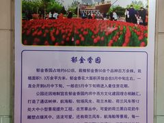 -长春公园(普阳街道)