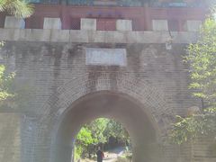 -云岗森林公园
