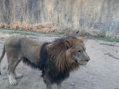 -北京野生动物园