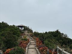 -东澳岛