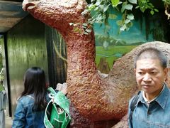 -呀路古热带植物园-恐龙馆