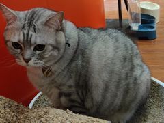 -H立方实景剧情密室(天河旗舰店)