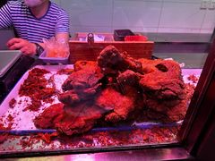 -秦氏环球炸鸡(解放北路店)