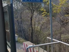 -少华山国家森林公园