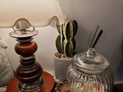 -春风·有糖(崇宁路店)