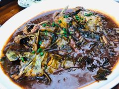 红烧昂刺鱼-湖鲜楼