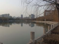 -迎泽公园