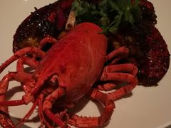 -广州四季酒店·佰鲜汇·现代法餐