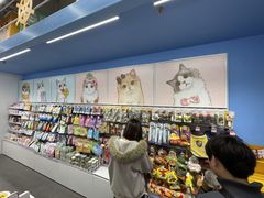 -KKV(深圳kk one 店)