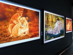 -罗红摄影艺术馆