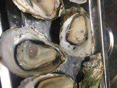 -蚝得喜海鲜(东城店)