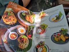 -Fern Forest Cafe