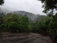 -野象谷景区