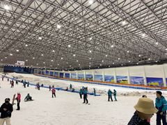 -绍兴启迪乔波冰雪世界