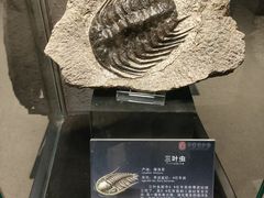 -中华赏石园