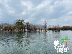 -大理洱海